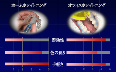 比較図